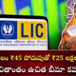 LIC Policy