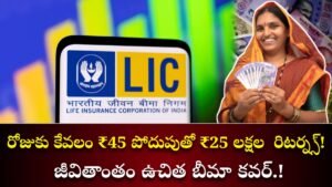 LIC Policy