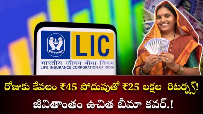 LIC Policy